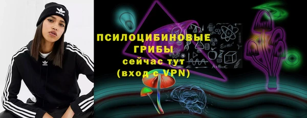 apvp Балахна