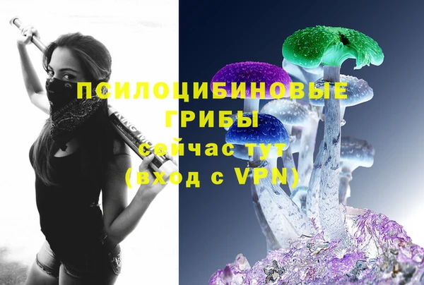 хмурый Белоозёрский
