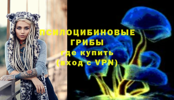 apvp Балахна